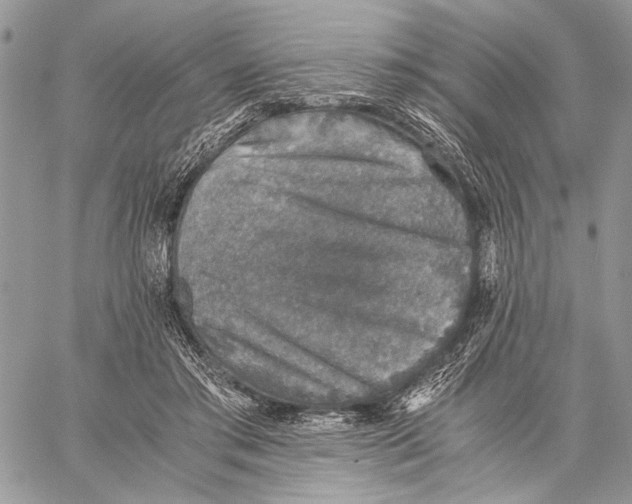 X0000058780405200510211753