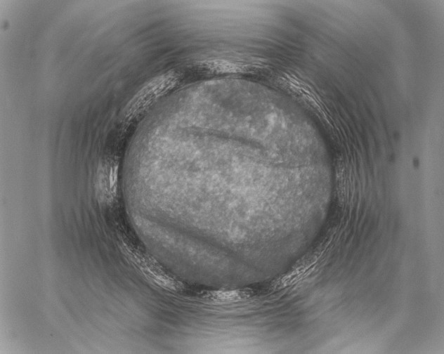 X0000058780406200510211753