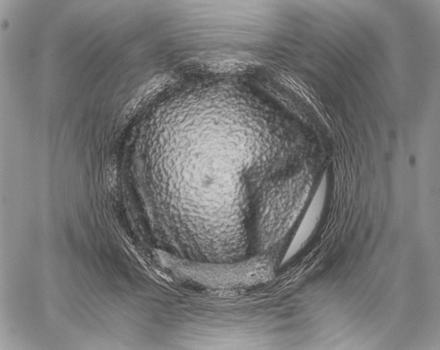 X0000058780407200510211753