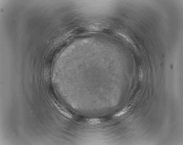 X0000058780409200510211753