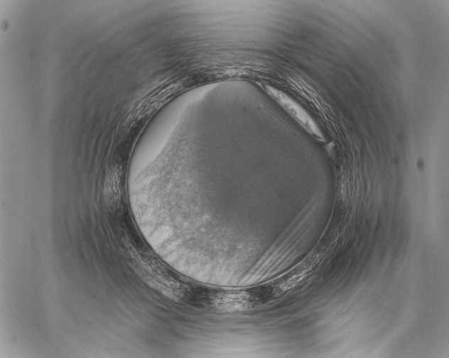 X0000058780410200510211753