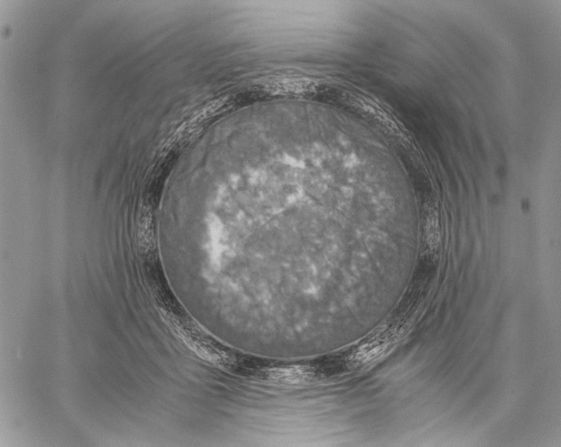 X0000058780411200510211753