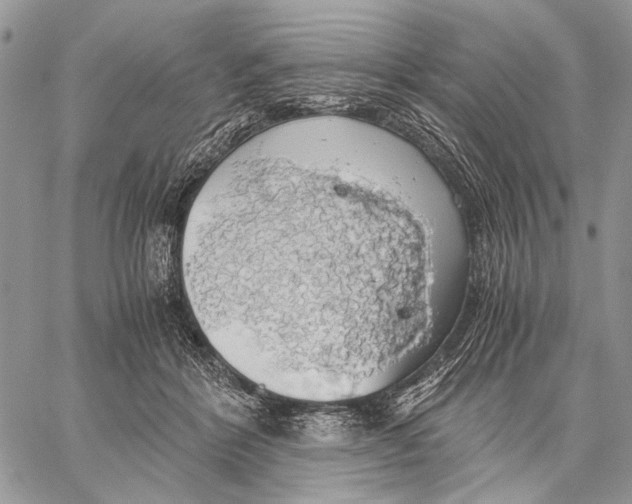 X0000058780412200510211753