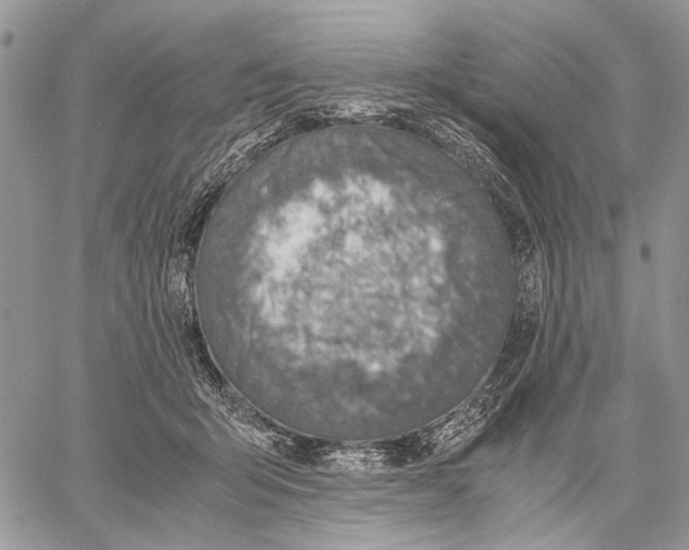 X0000058780415200510211753