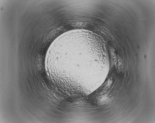 X0000058780416200510211753