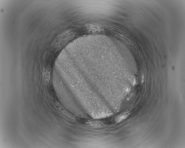 X0000058780417200510211753