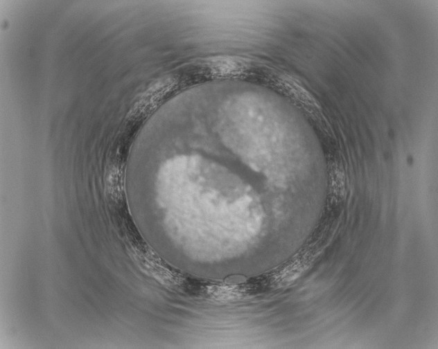 X0000058780419200510211753