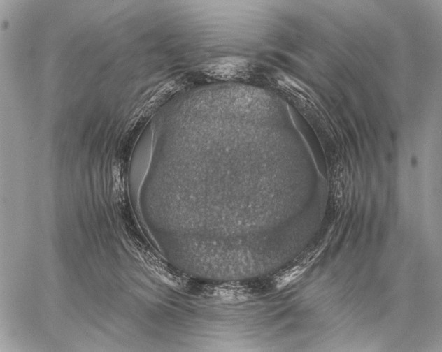 X0000058780420200510211753