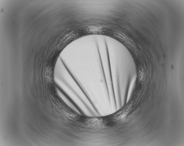 X0000058780421200510211753