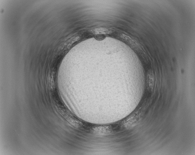 X0000058780422200510211753