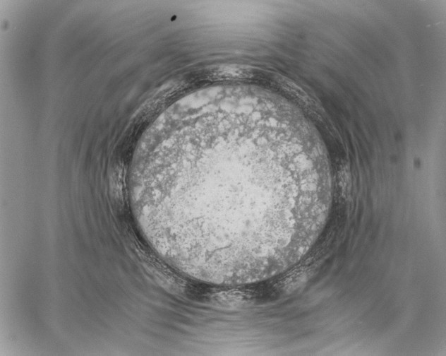 X0000058780423200510211753