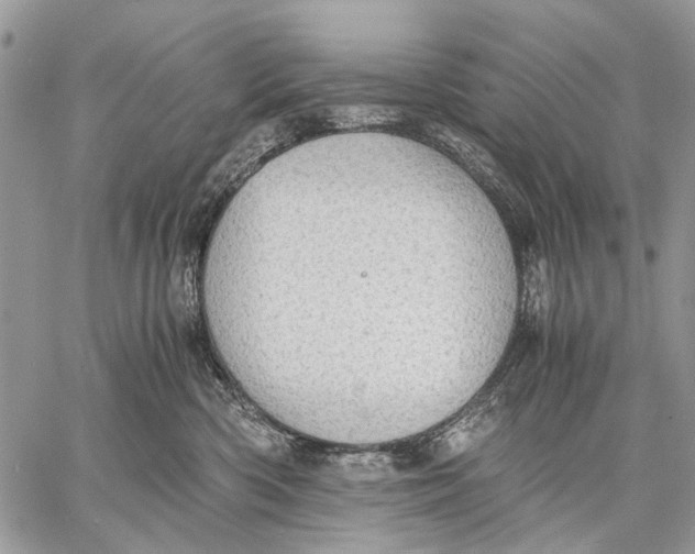 X0000058780426200510211753