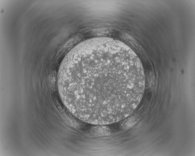 X0000058780427200510211753