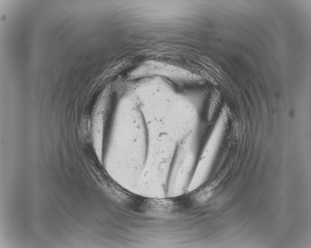 X0000058780429200510211753