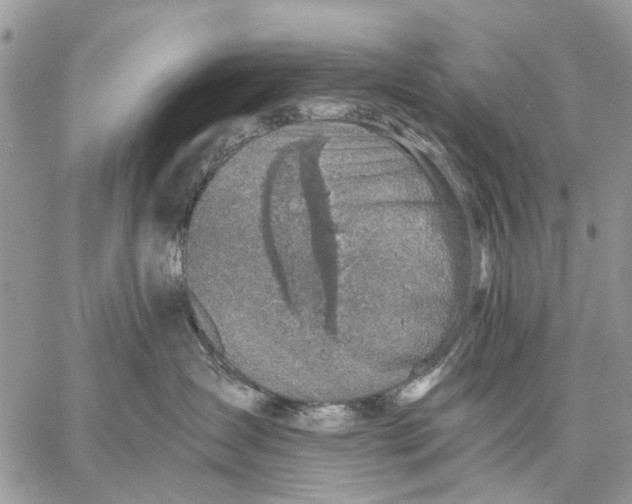 X0000058780431200510211753