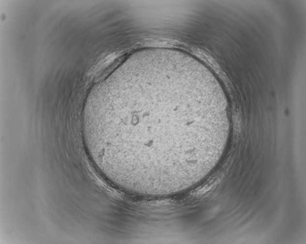 X0000058780433200510211752