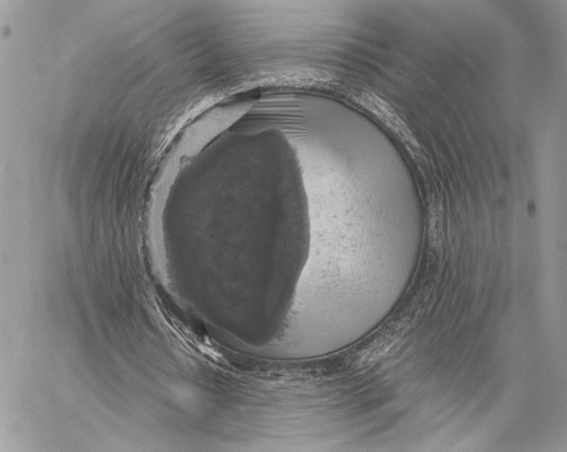 X0000058780434200510211752