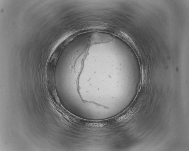 X0000058780435200510211752