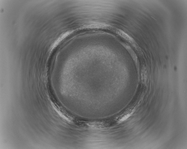 X0000058780436200510211752