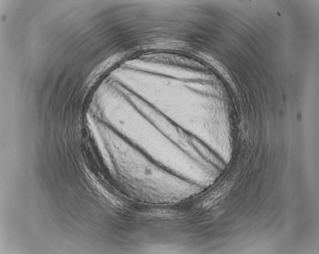 X0000058780437200510211752