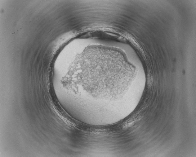 X0000058780438200510211752