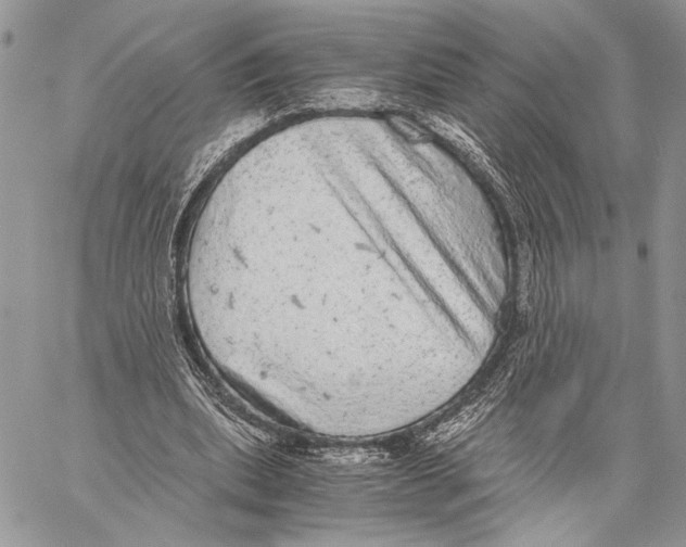 X0000058780439200510211752