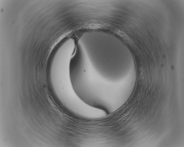 X0000058780440200510211752