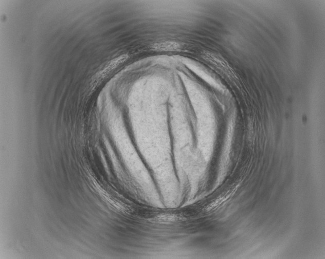 X0000058780441200510211752