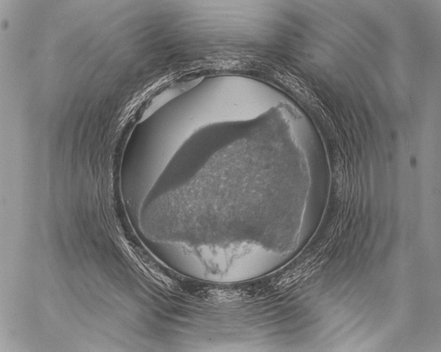 X0000058780442200510211752