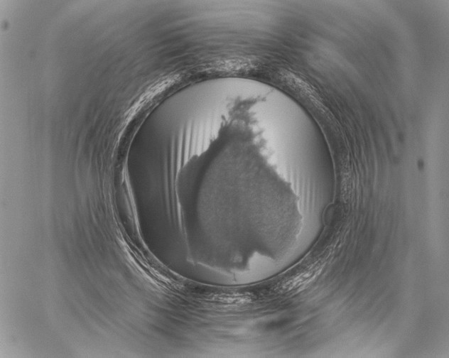 X0000058780443200510211752