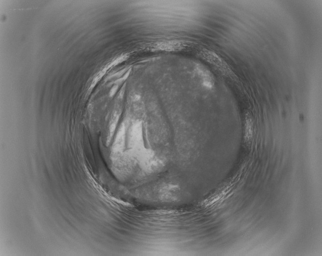 X0000058780444200510211752