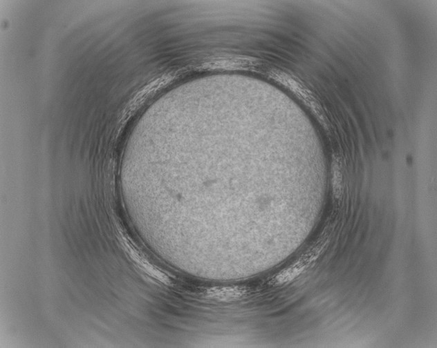 X0000058780445200510211752