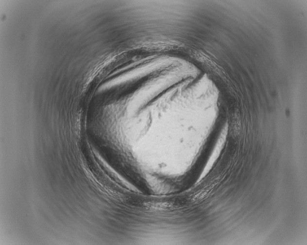 X0000058780448200510211752