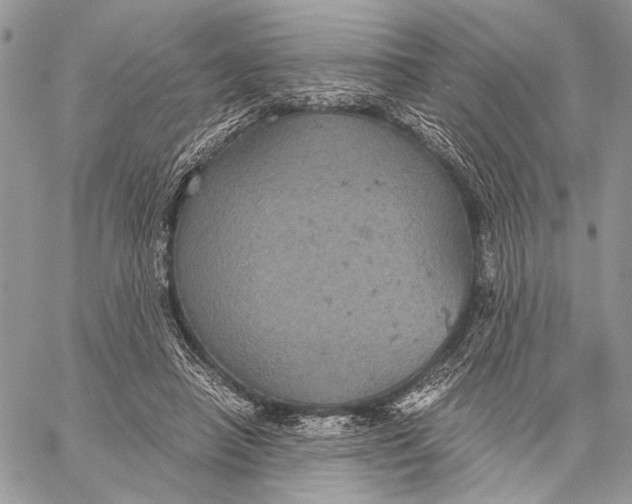 X0000058780450200510211752