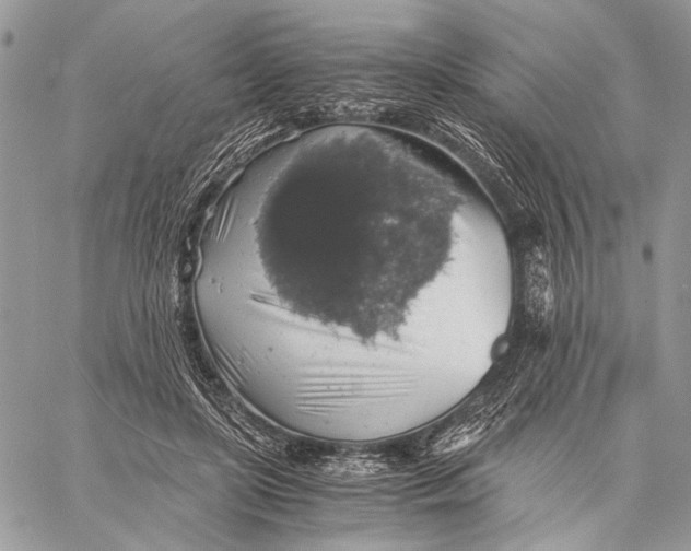 X0000058780451200510211752