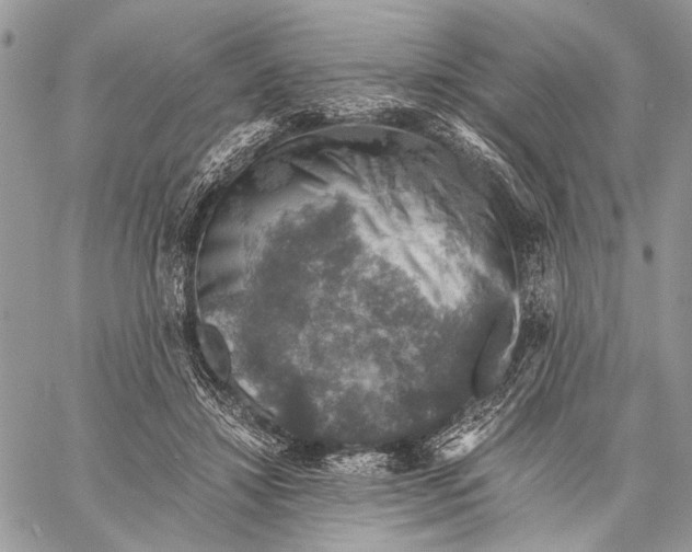 X0000058780452200510211752