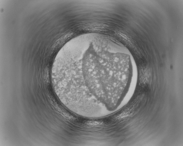 X0000058780453200510211752