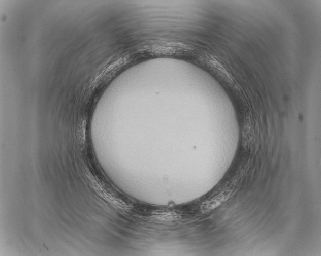 X0000058780454200510211752