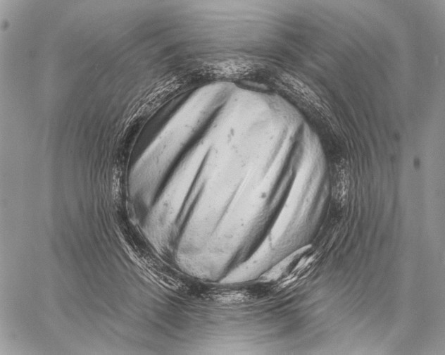 X0000058780456200510211752