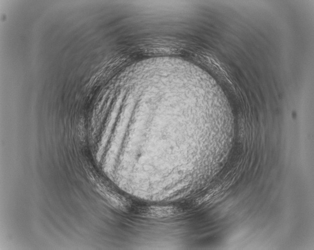 X0000058780457200510211752