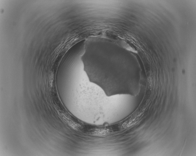 X0000058780458200510211752