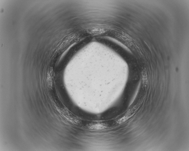 X0000058780460200510211752