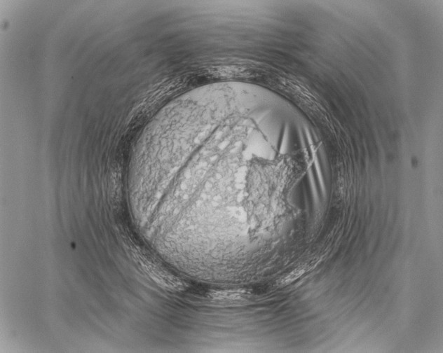 X0000058780461200510211752