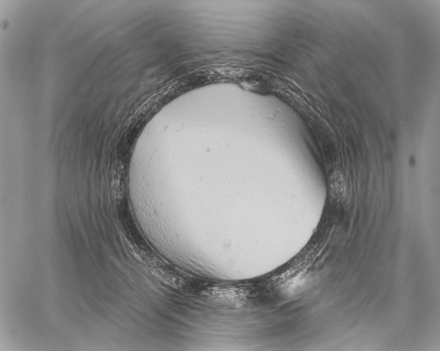 X0000058780464200510211752