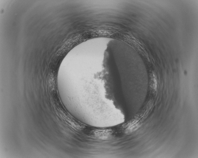 X0000058780465200510211752