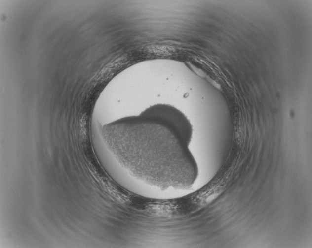 X0000058780466200510211752