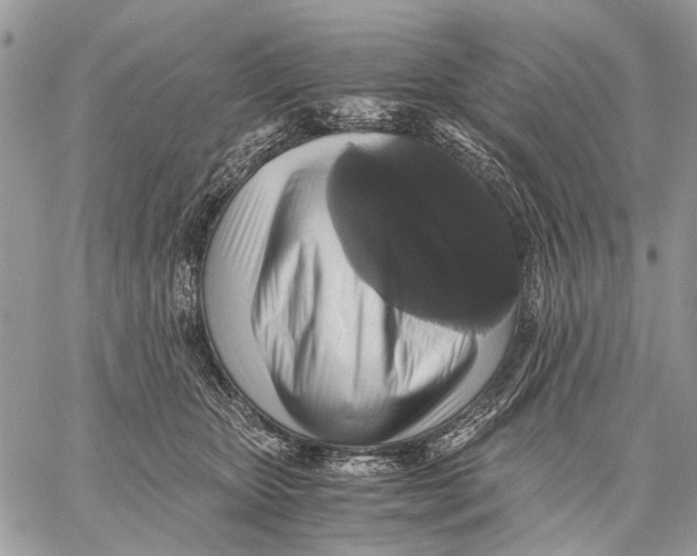 X0000058780467200510211752