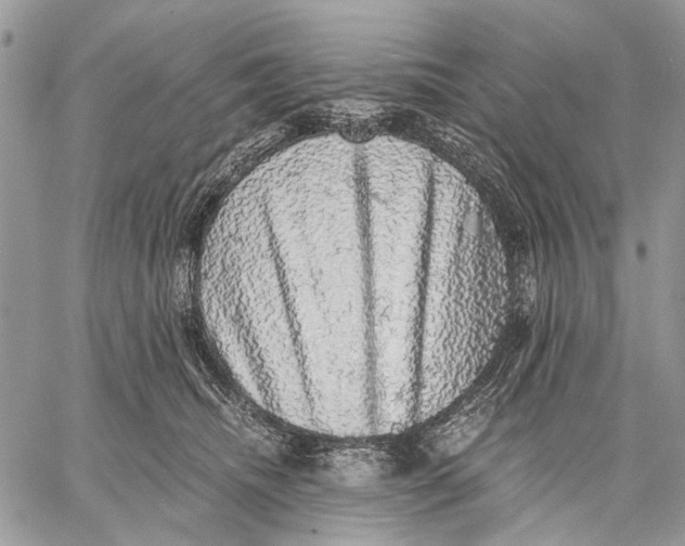 X0000058780468200510211752