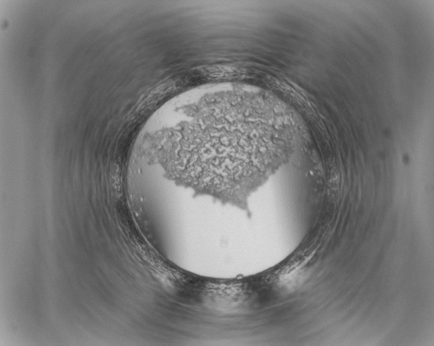 X0000058780469200510211752