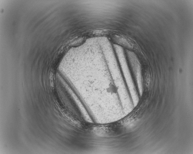 X0000058780470200510211752